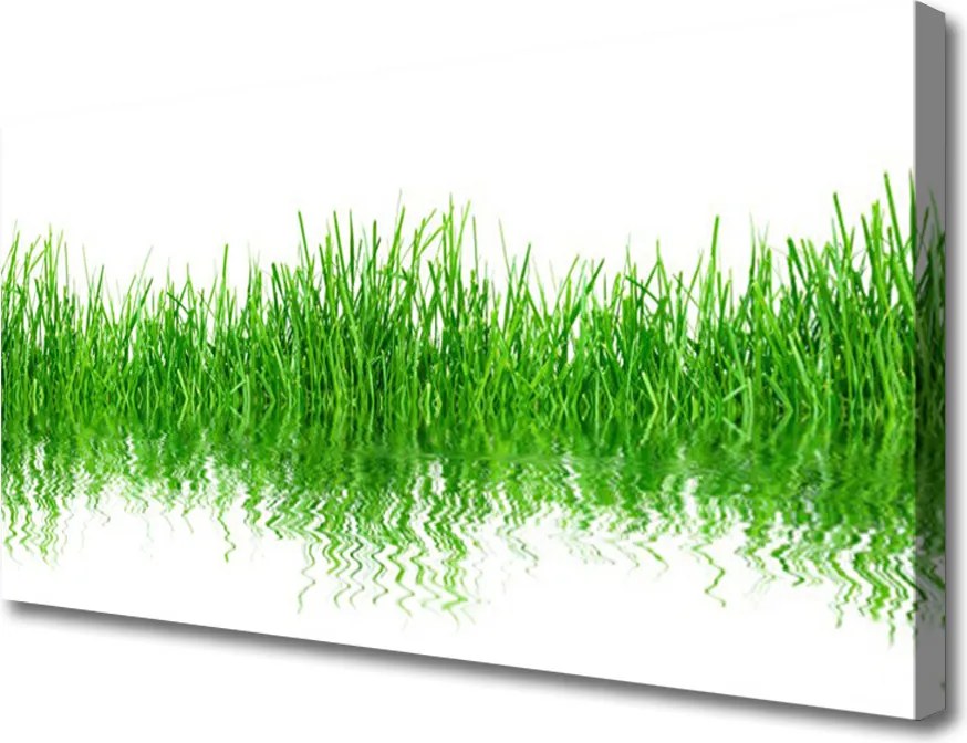 Obraz canvas Naturalny Dywan Zieleni