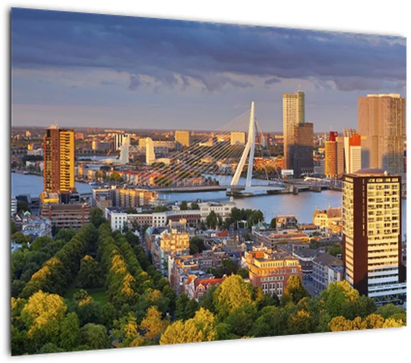Obraz - Panorama Rotterdamu, Holandia (70x50 cm)