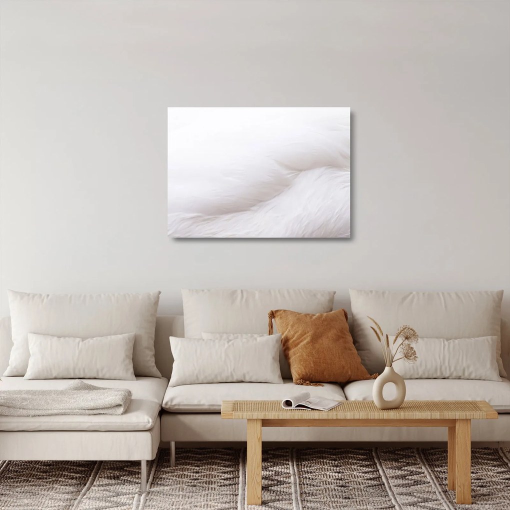 Obraz na szkle - Białe pióro (70x50 cm)