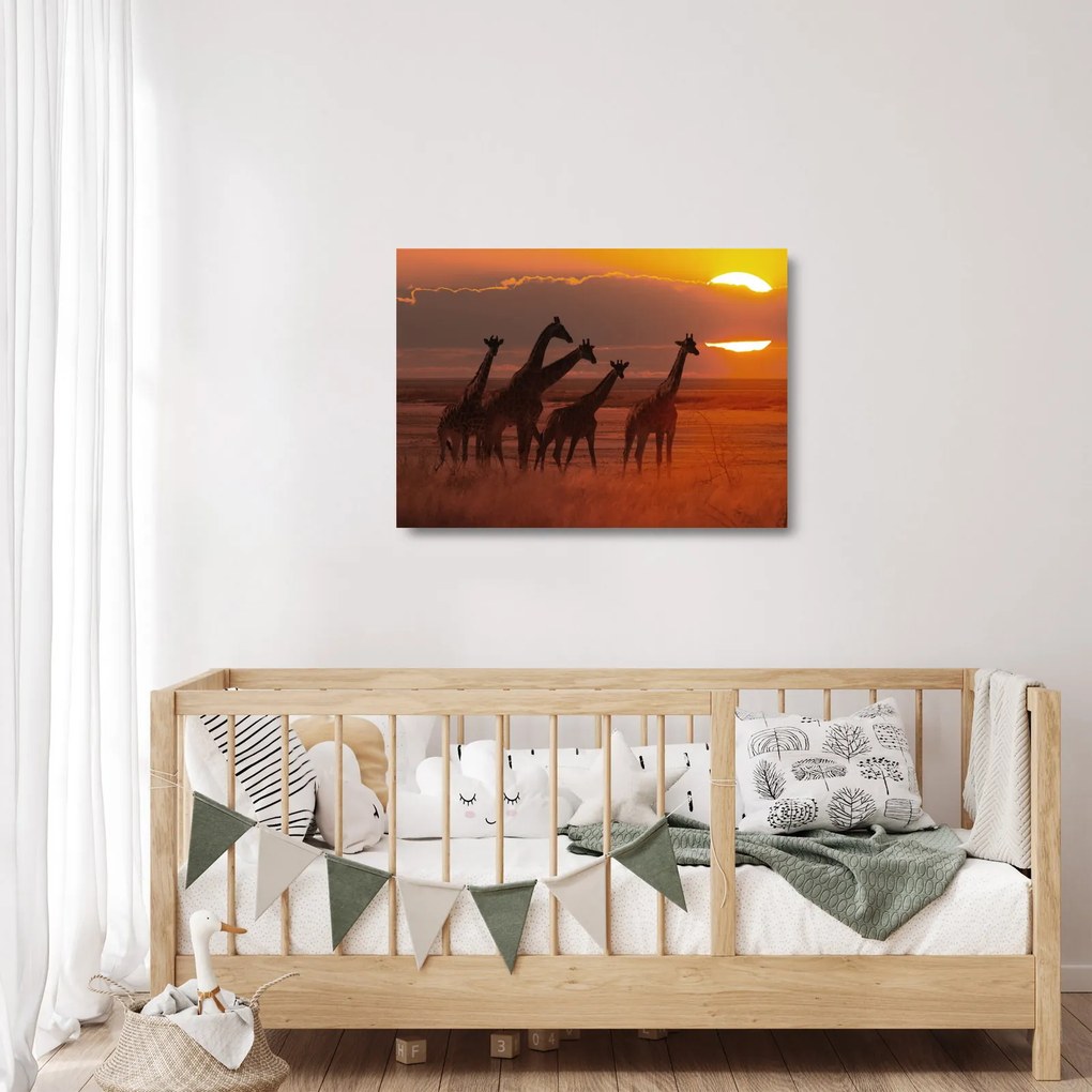 Obraz na szkle - Żyrafy na afrykańskiej sawannie (70x50 cm)