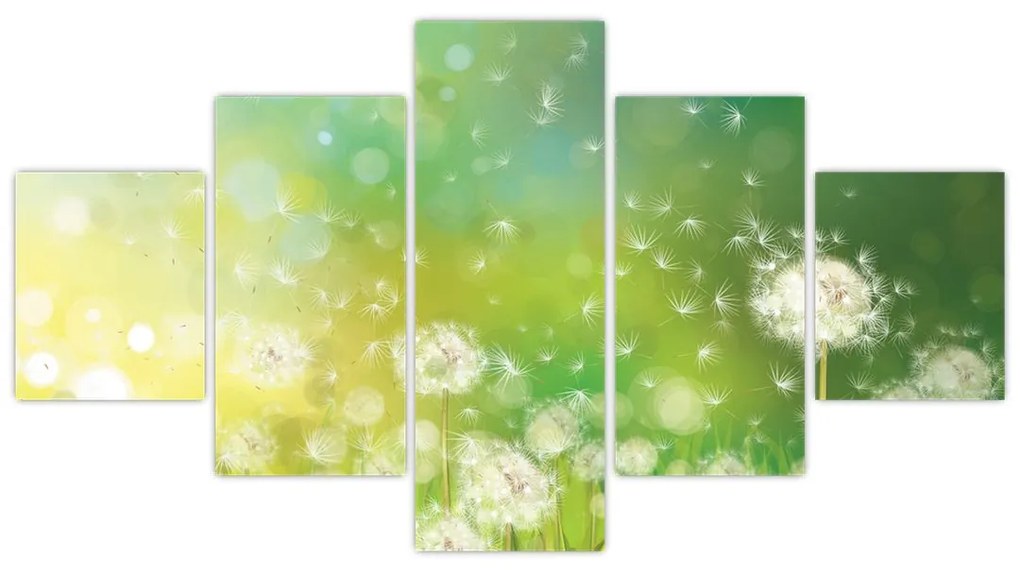 Obraz - Kwitnące mlecze (125x70 cm)