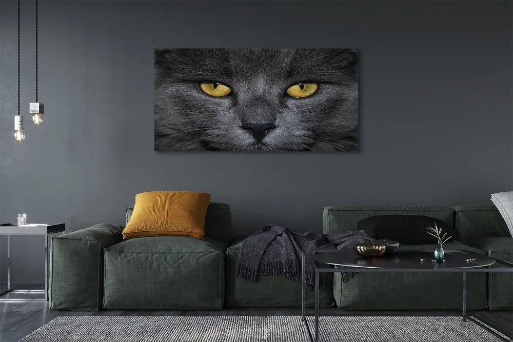 Obraz na płótnie Elegancki Czarny Kot