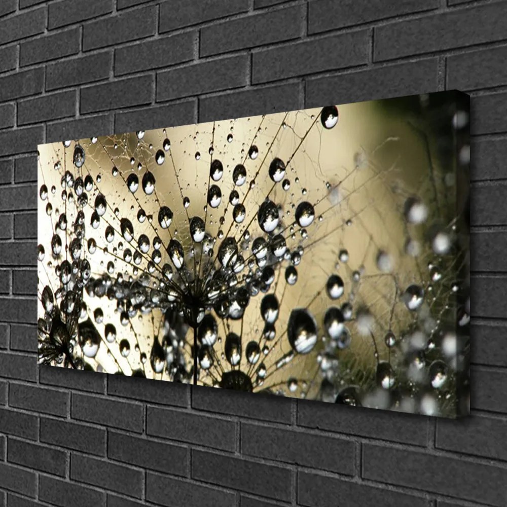 Obraz na płótnie Lekkość Mniszka Lekarskiego