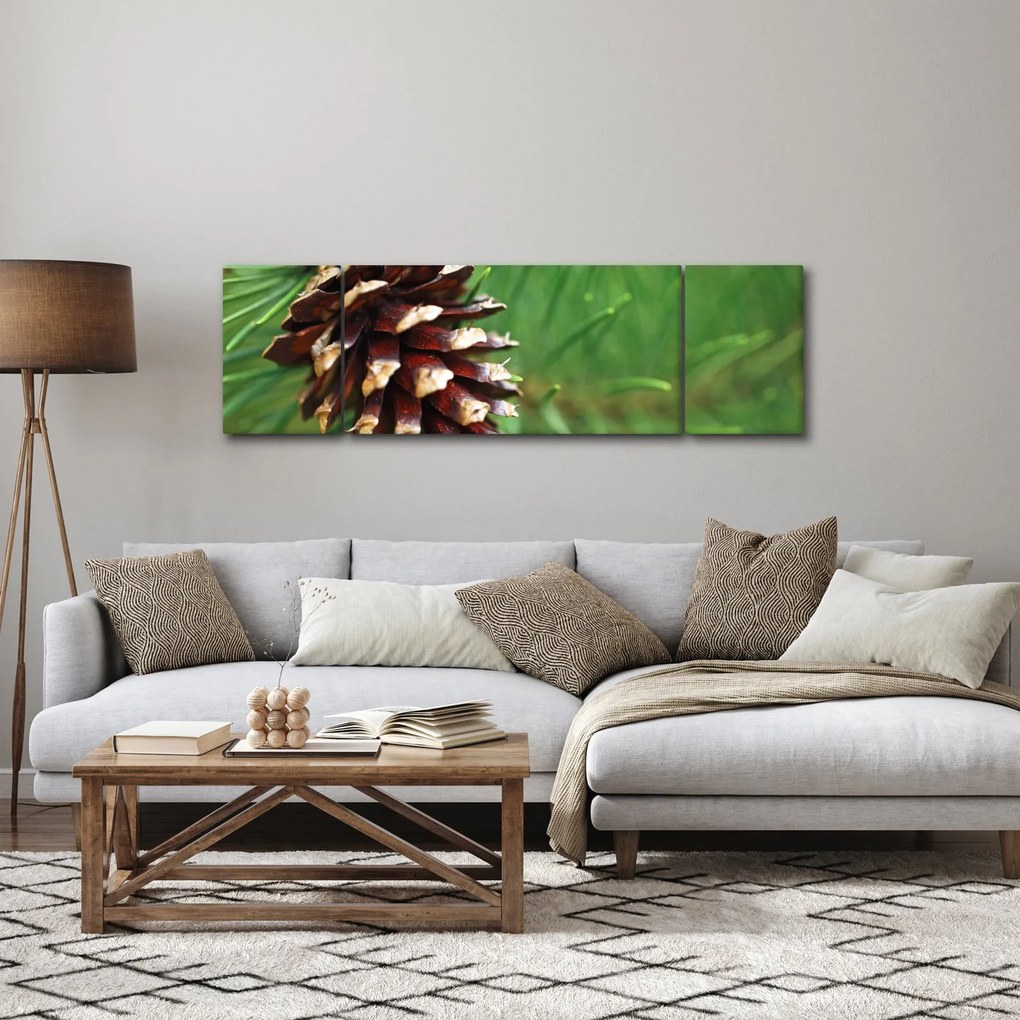 Obraz szyszki (170x50 cm)
