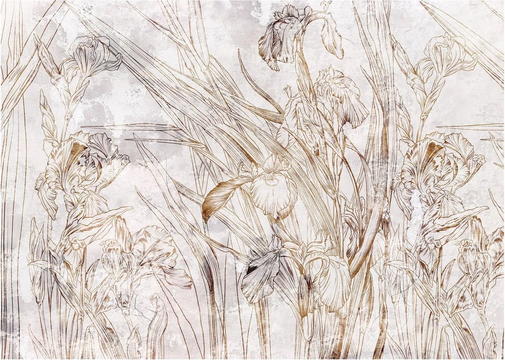 Obraz - Irysy (70x50 cm)