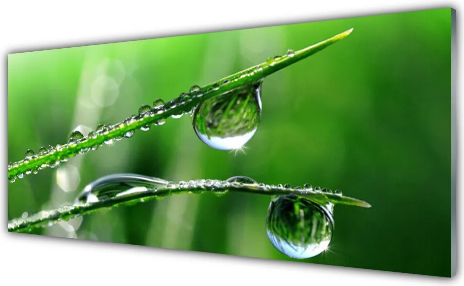 Panel Kuchenny Świeżość Porannej Trawy