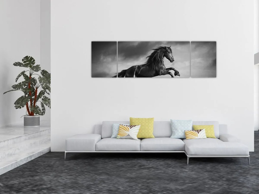 Obraz - Czarny i biały koń (170x50 cm)