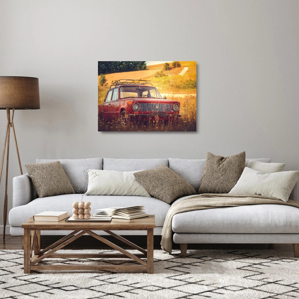 Obraz na szkle - samochód na polu (70x50 cm)
