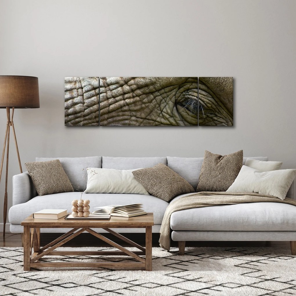 Obraz - Zbliżenie na stare oko słonia (170x50 cm)