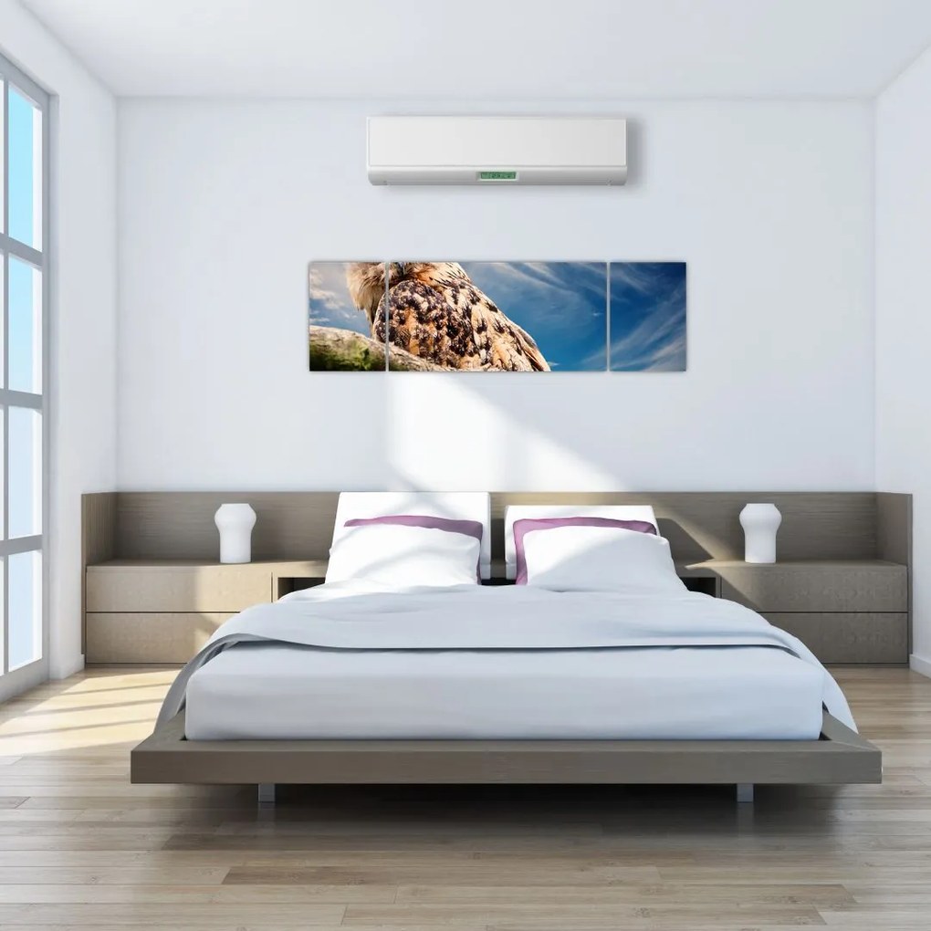 Obraz sowy (170x50 cm)