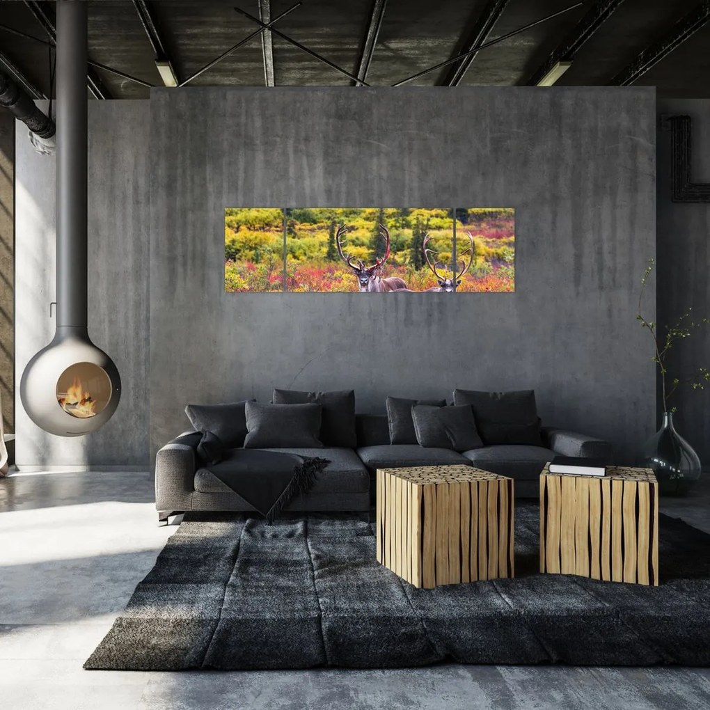 Obraz - Renifer tundrowy (170x50 cm)