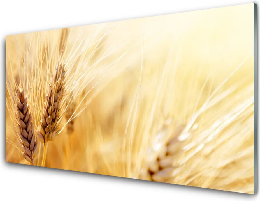 Panel Szklany Złociste Łany Pszenicy