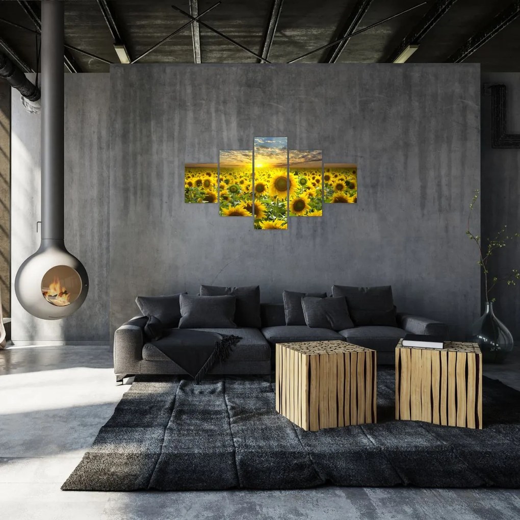 Obraz - Słoneczniki o zachodzie słońca (125x70 cm)