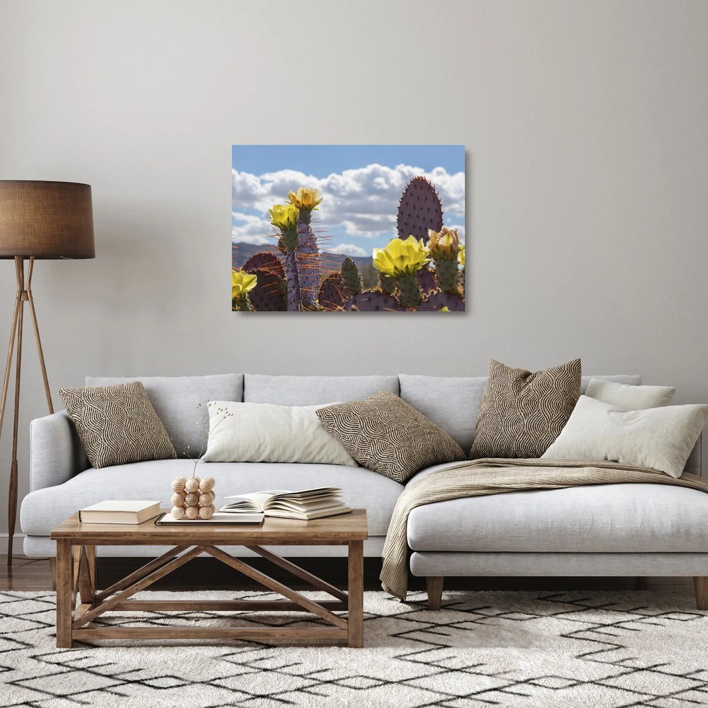 Obraz na szkle opuncji (70x50 cm)