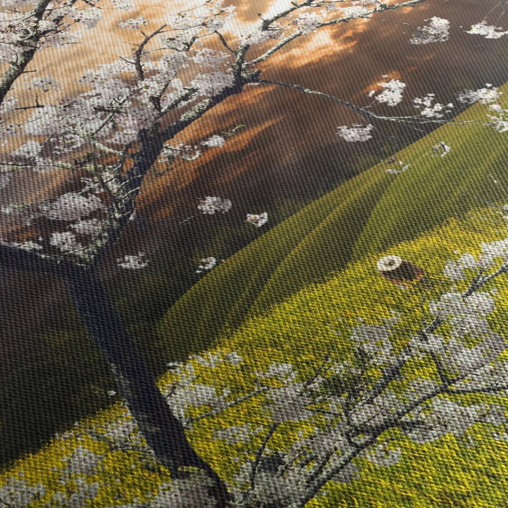 Obraz - Kwitnące drzewo w krajobrazie (125x70 cm)