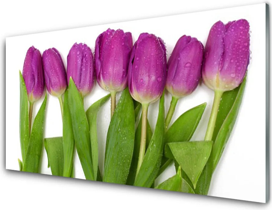 Panel Kuchenny Wiosenne Pole Tulipanów