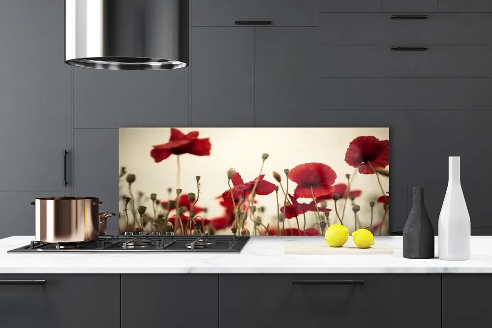 Panel Kuchenny Polne Maki W Rozkwicie