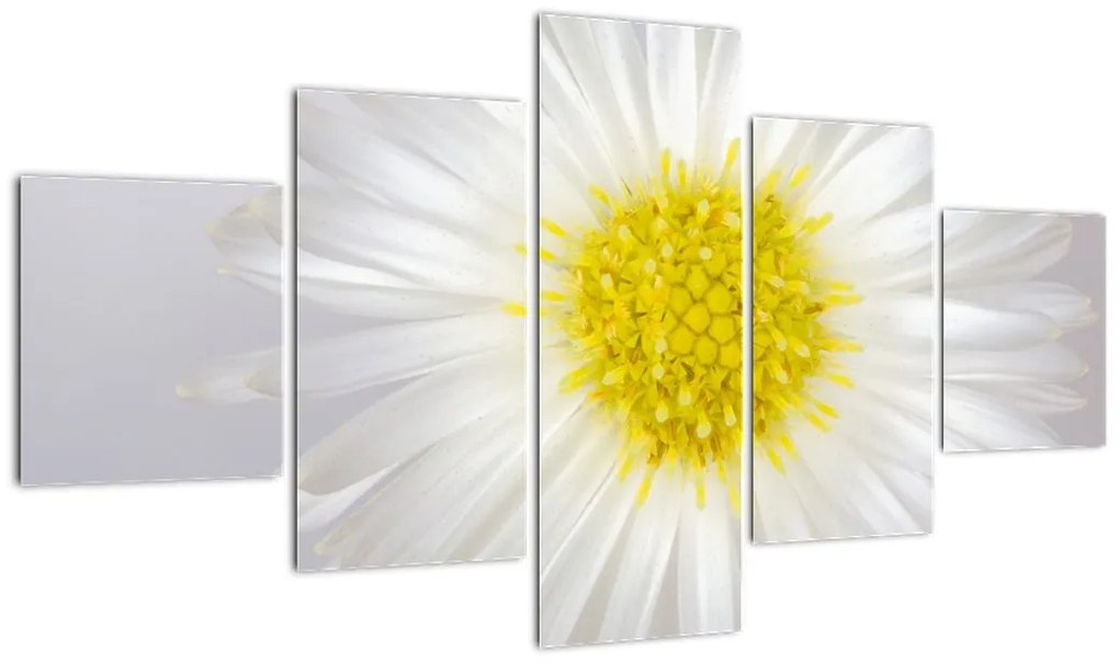 Obraz - Margarita (125x70 cm)