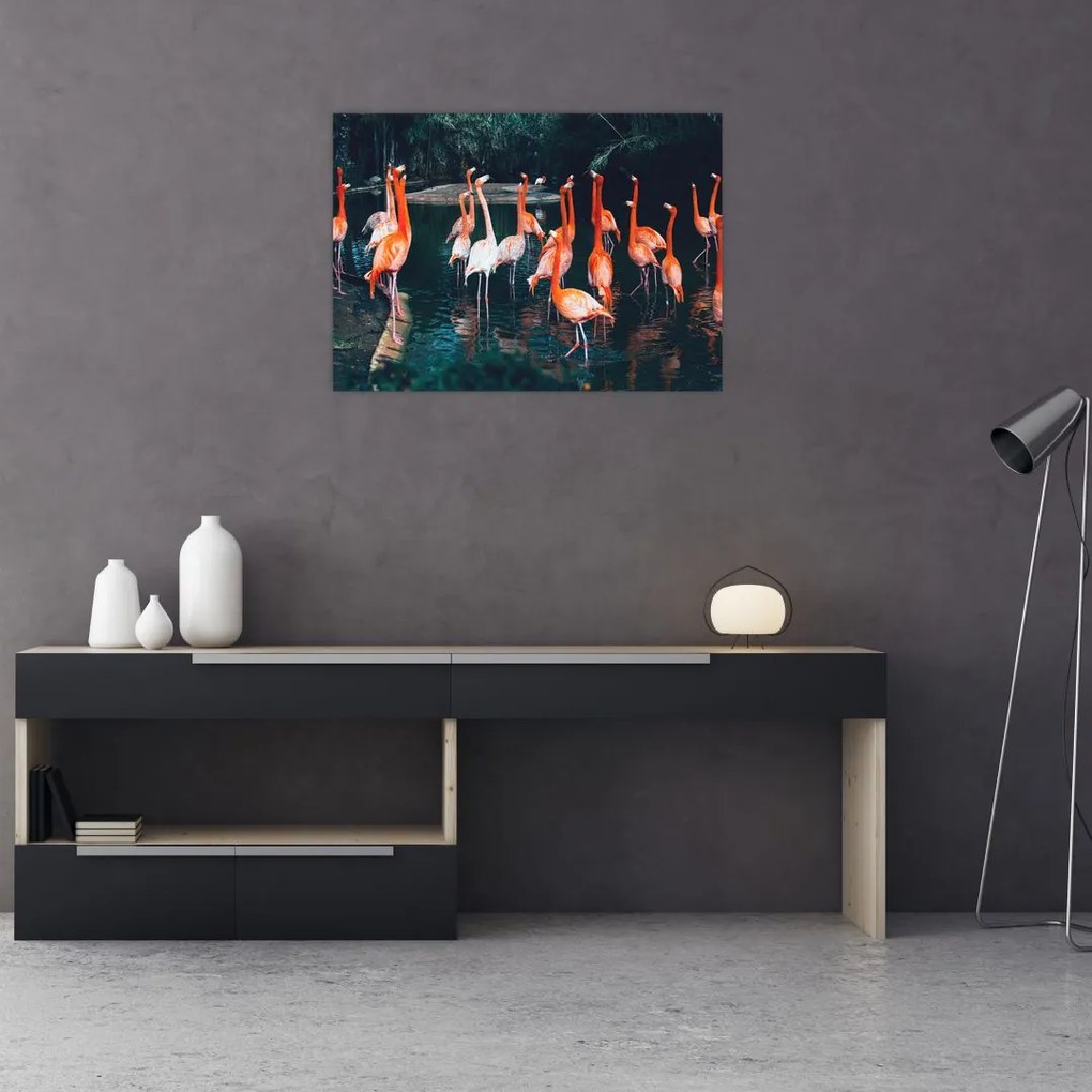 Obraz stada flamingów (70x50 cm)