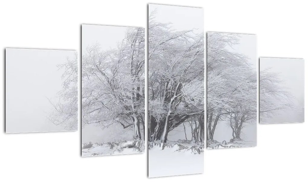 Obraz - Biała zima (125x70 cm)