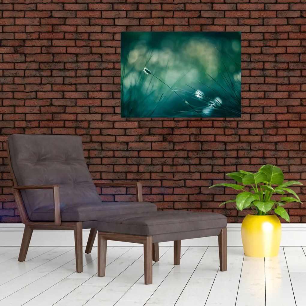 Obraz - Szczegół trawy (70x50 cm)