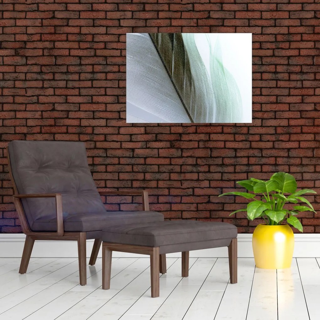 Obraz - Pióra, makro (70x50 cm)
