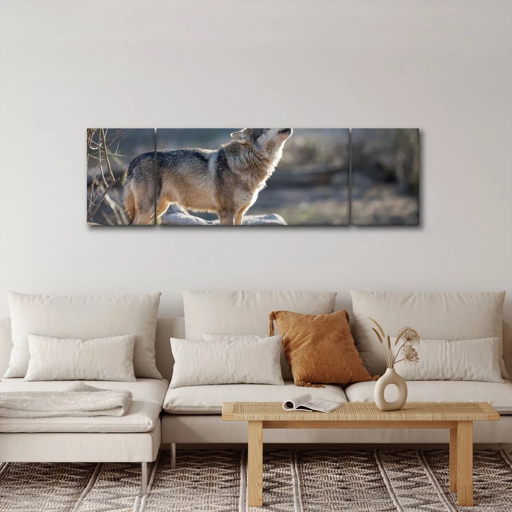 Obraz - Wyjący Wilk (170x50 cm)