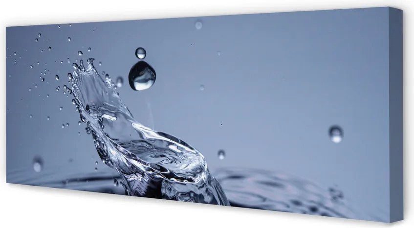 Duży obraz na płótnie Pojedyncza Kropla Rosy