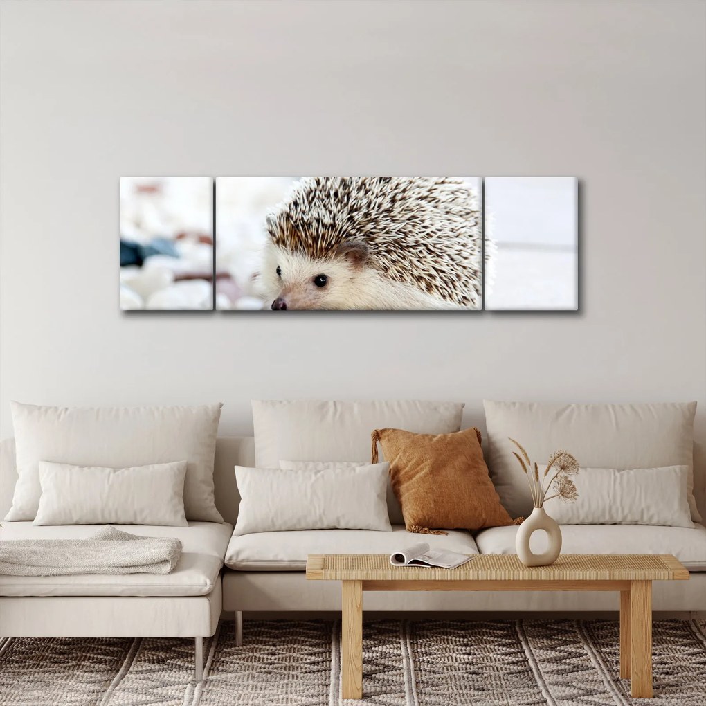 Obraz jeża (170x50 cm)