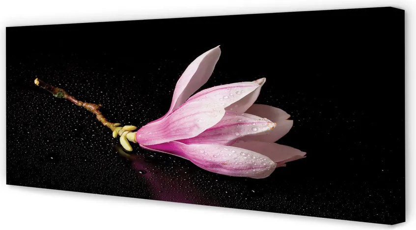 Zdjęcie na płótnie Kwiat na Wodzie