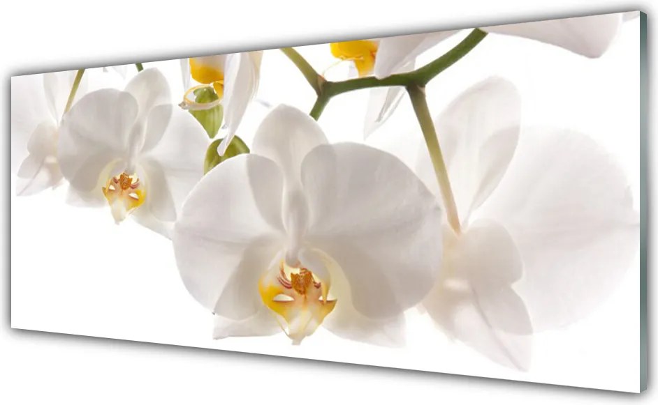 Panel nad blat kuchenny Egzotyczna Orchidea w Detalu