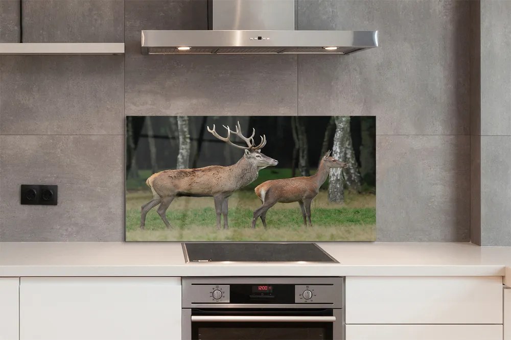 Panel Szklany Jeleń w Gęstwinie Leśnej