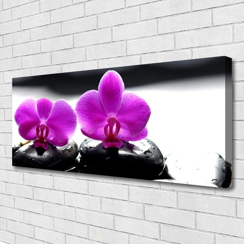 Obraz canvas Szlachetny Kwiat Orchidei