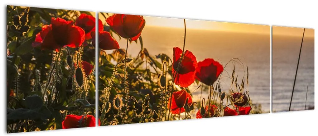 Obraz zachodu słońca z makami (170x50 cm)