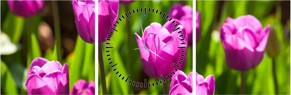 Obraz tulipanów na łące (z zegarem) (90x30 cm)