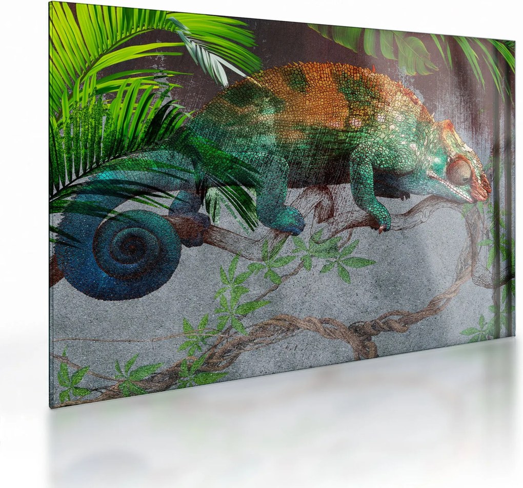 Obraz na szkle - Kameleon (70x50 cm)