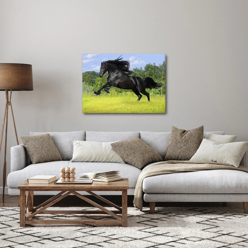 Obraz - Koń z płynącą grzywą (70x50 cm)