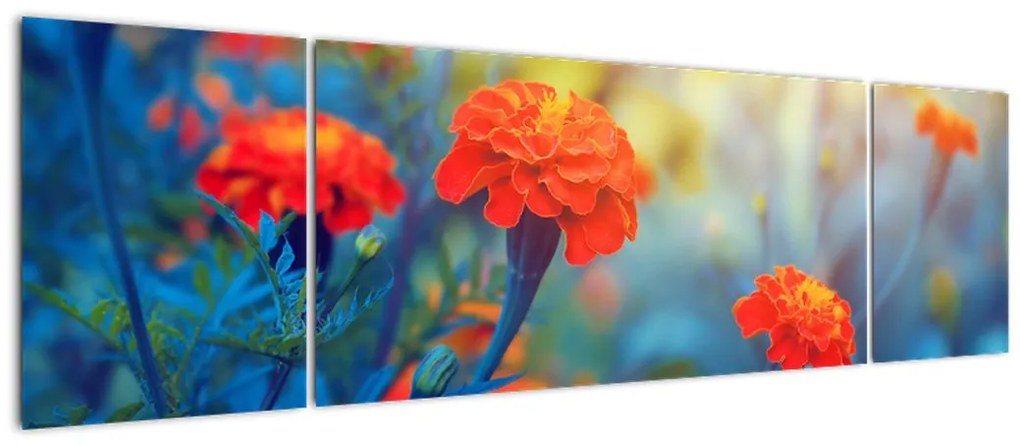 Obraz - Pomarańczowe kwiaty (170x50 cm)