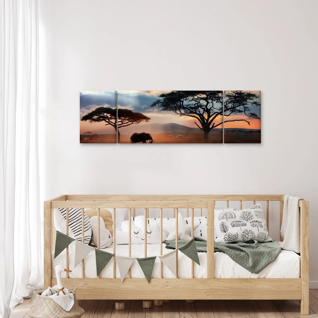 Obraz - Park Narodowy Serengeti, Tanzania, Afryka (170x50 cm)