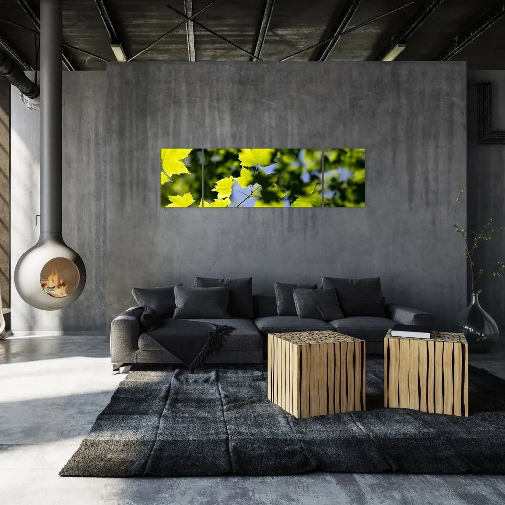 Obraz - liście klonu (170x50 cm)