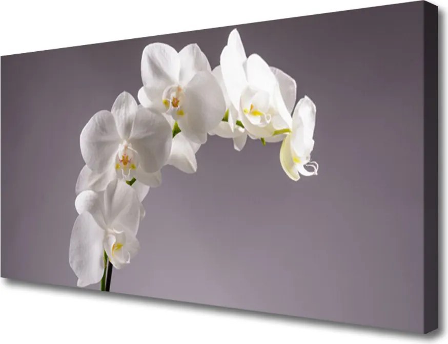 Obraz drukowany na płótnie Harmonijna Natura w Kwiatach