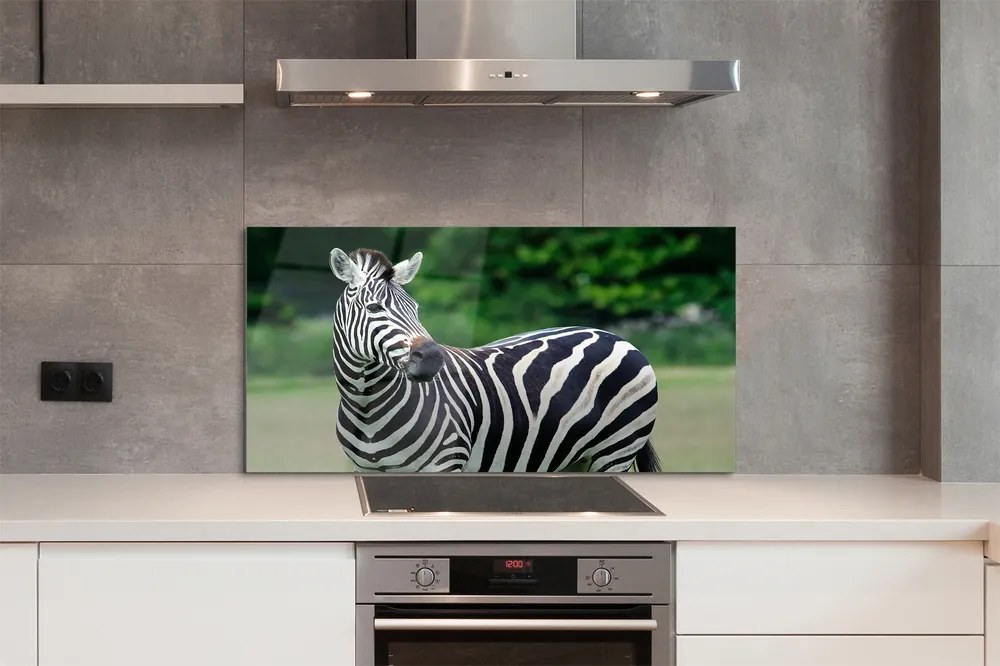 Panel szklany do Kuchni Zebra na tle Afrykańskiej Równiny