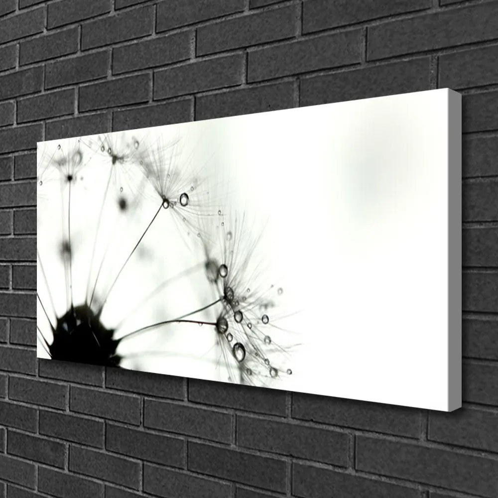 Obraz na płótnie Puszysta Kula Mniszka