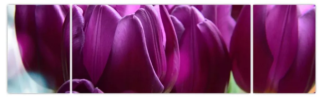 Obraz tulipanów (170x50 cm)
