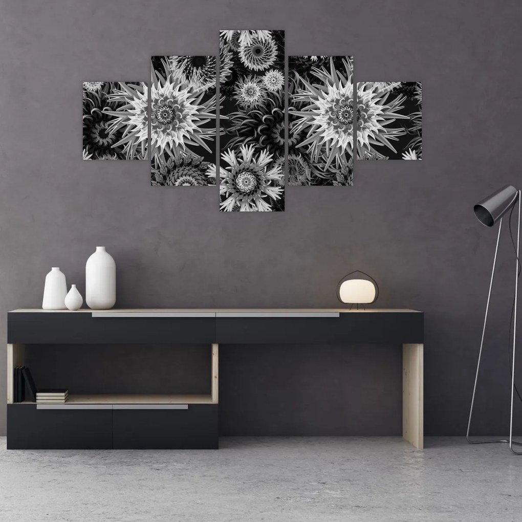 Obraz - Czarne i białe osty (125x70 cm)