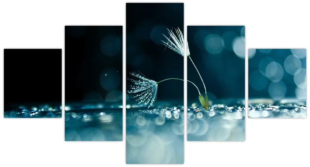 Obraz - Makro (125x70 cm)