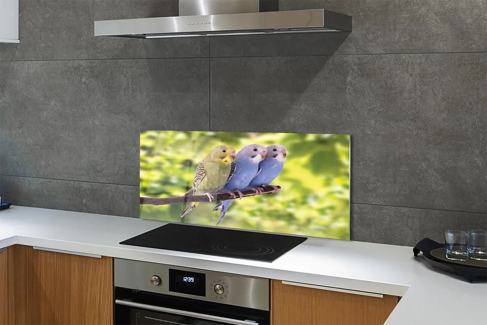 Panel Szklany Tropikalna Para na Drzewie