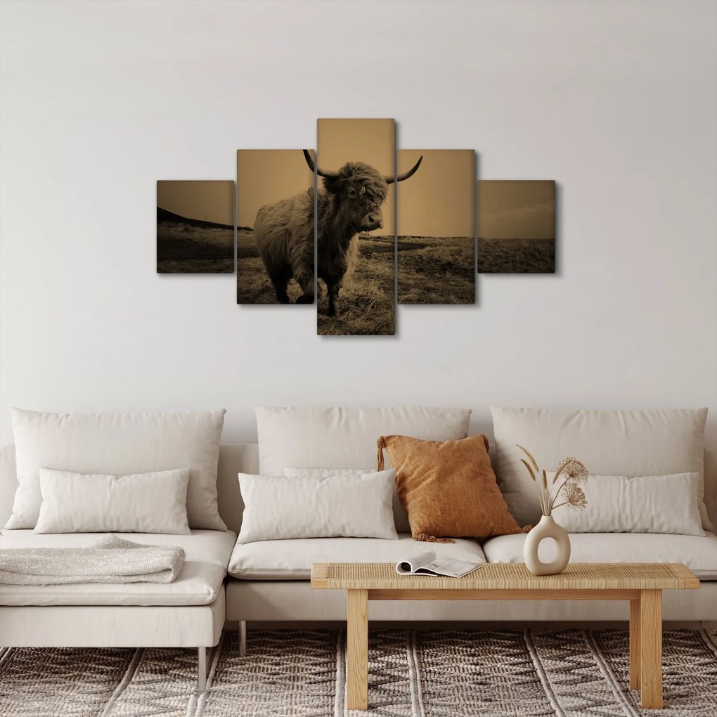 Obraz - Szkocka krowa na wolności (125x70 cm)