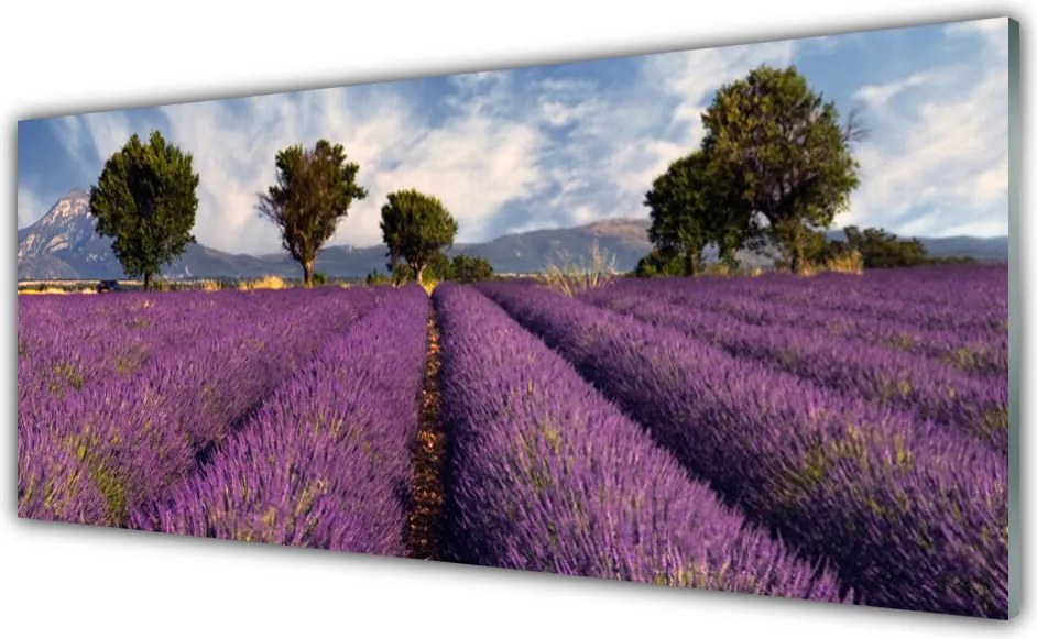 Szkło do Kuchni na Ścianę Sielska Polana z Drzewami