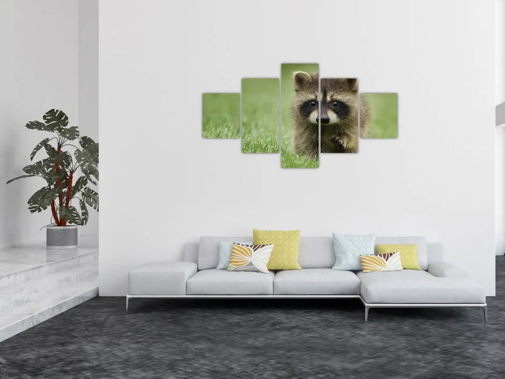 Obraz szopa pracza (125x70 cm)